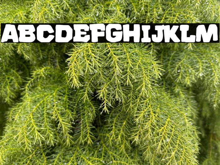 El Buen Español Example 1