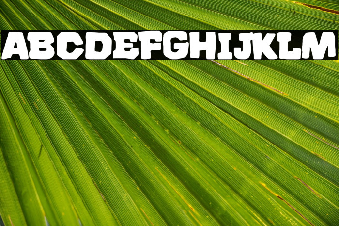 El Buen Español Example 2