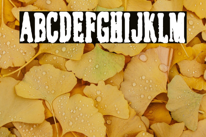 El Caballero Decadente Example 3