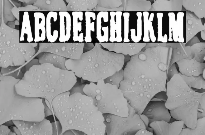 El Caballero Decadente Font examples