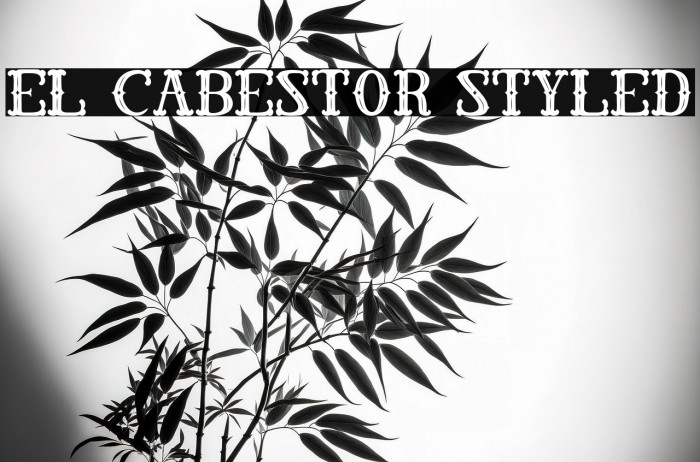 El Cabestor Styled Example 1