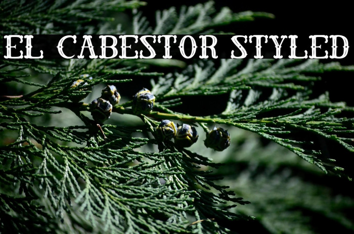 El Cabestor Styled Example 2