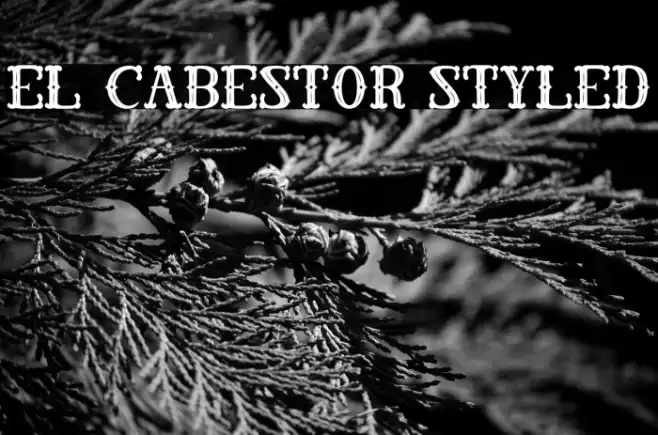 El Cabestor Styled Example 2