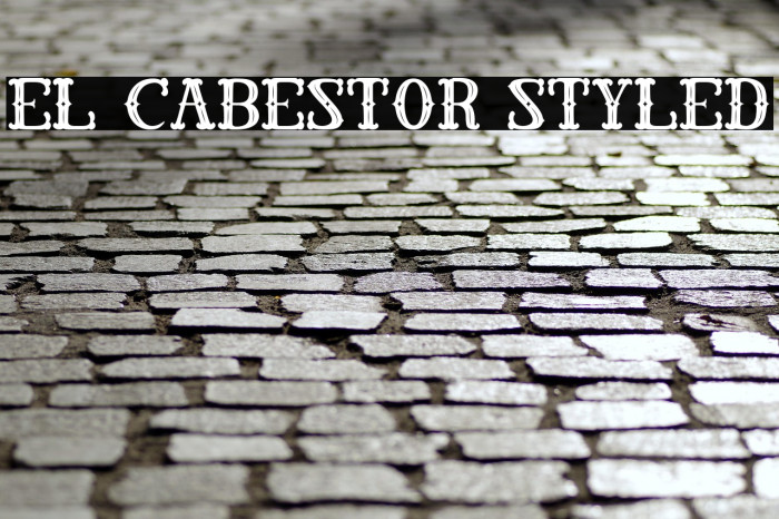 El Cabestor Styled Example 3