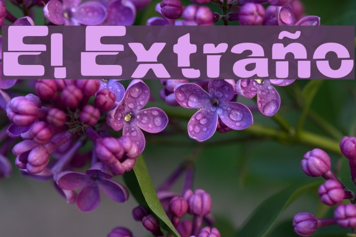 El Extraño Font examples