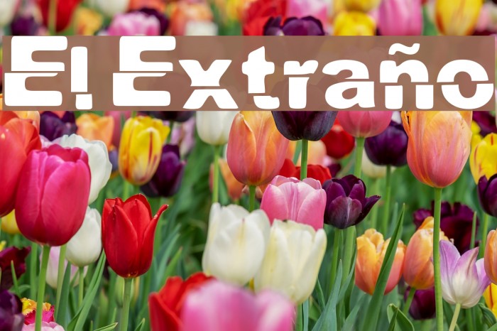 El Extraño Font examples