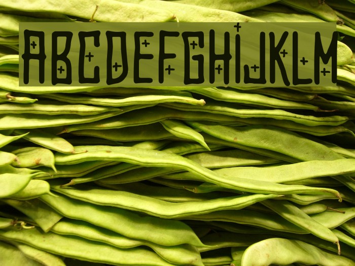 El Forastero Font examples