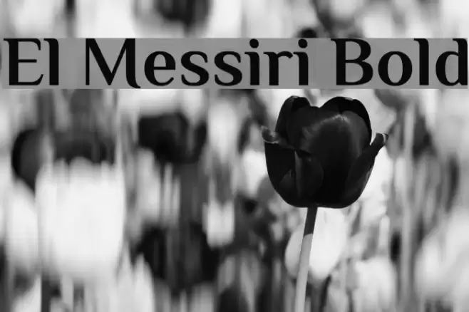 El Messiri Bold Font examples