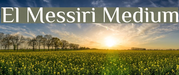 El Messiri Medium Font examples