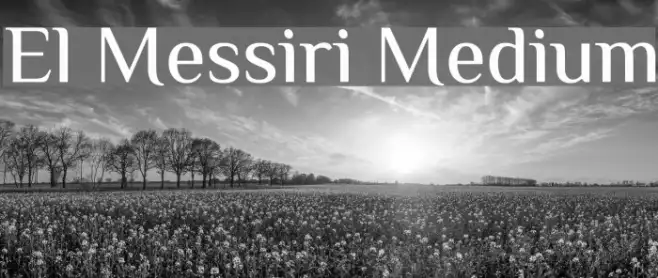 El Messiri Medium Example 1