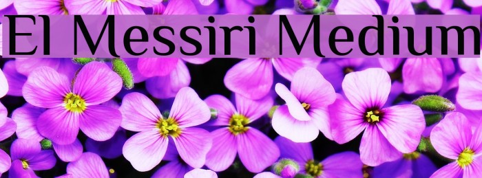 El Messiri Medium Font examples
