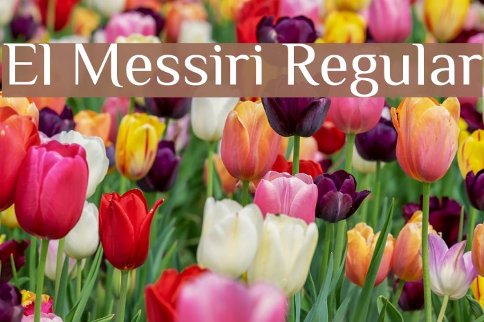 El Messiri Regular Font examples