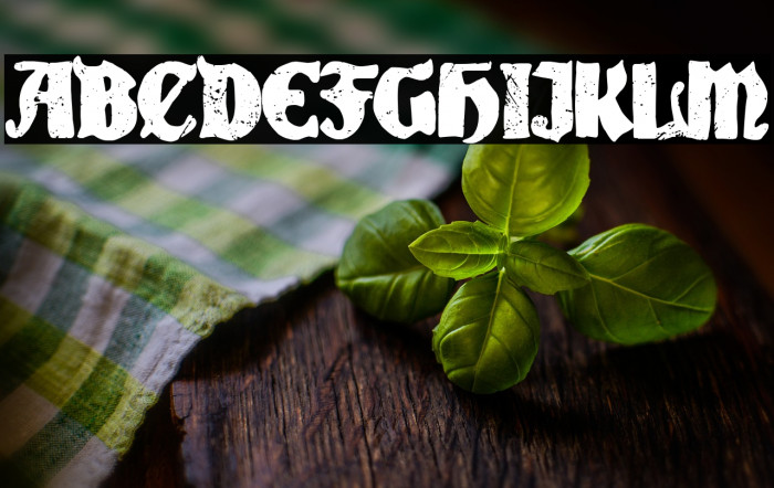 El Milagro de Empel Example 2