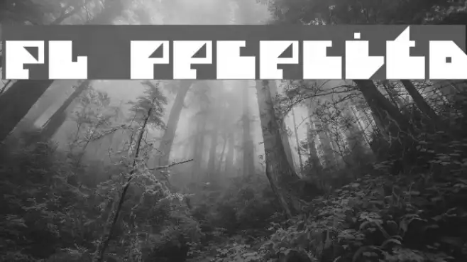 El Pececito Example 3