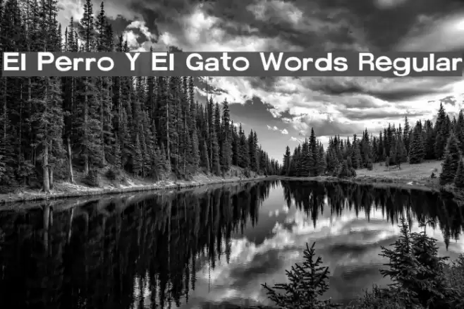 El Perro Y El Gato Words Regular フォント examples