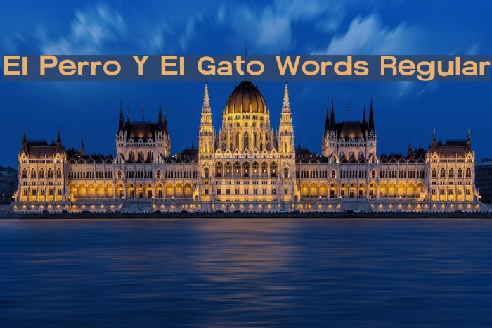 El Perro Y El Gato Words Regular Font examples