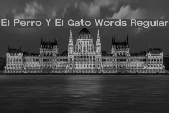 El Perro Y El Gato Words Regular フォント examples