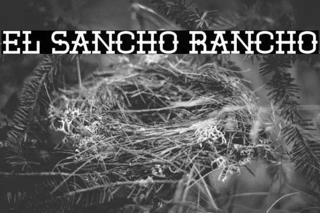 El Sancho Rancho Font examples