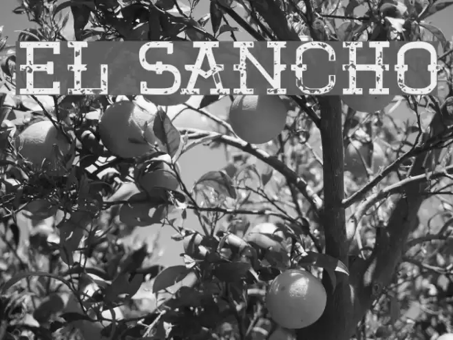 El Sancho Font examples