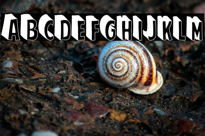 El Super Hombre Example 1