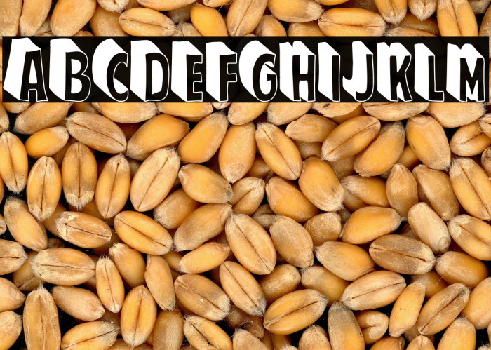 El Super Hombre Example 2