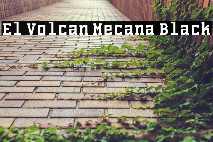 El Volcan Mecana Black Example 1