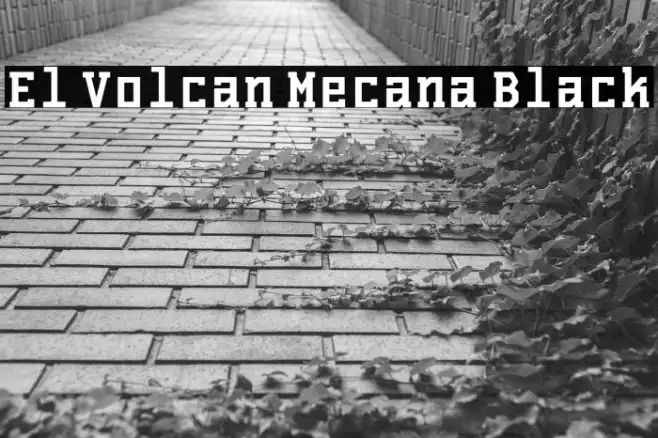 El Volcan Mecana Black Example 1
