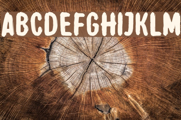 El camino Font examples