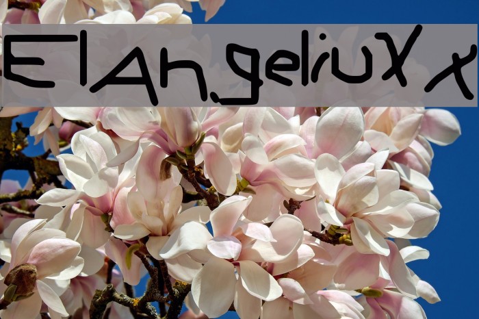 ElAngeliuXx Font examples