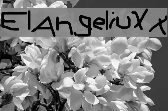 ElAngeliuXx Example 2