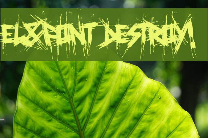 El&Font Destroy! Example 2