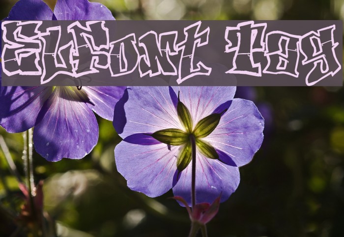 ElFont Tag Example 2