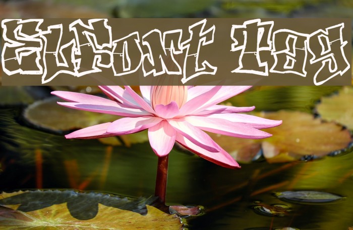 ElFont Tag Example 3