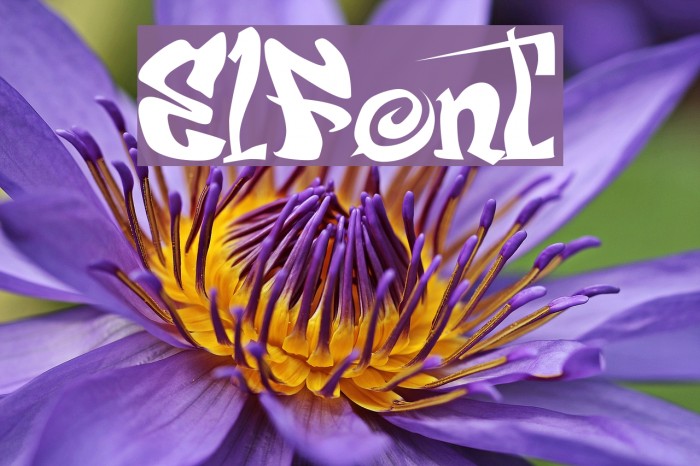 ElFont Font examples