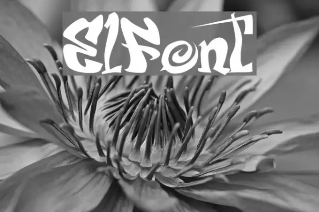 ElFont Example 3