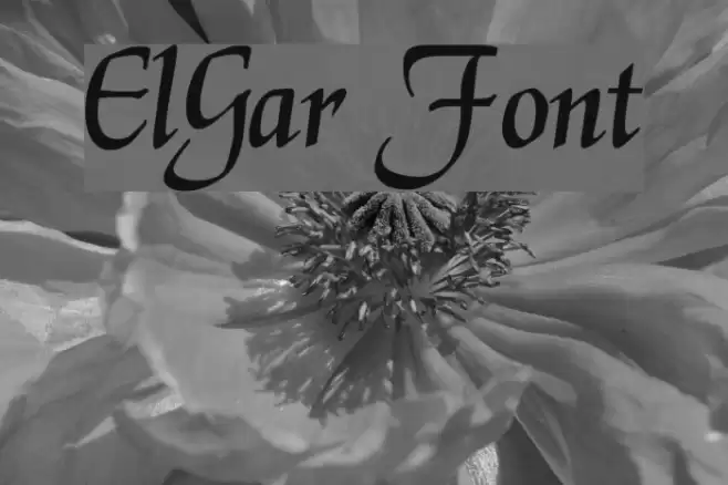 ElGar Font examples