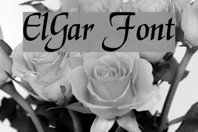 ElGar Font examples