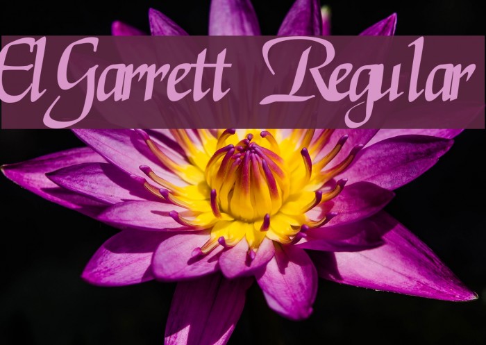 ElGarrett Regular Polices examples