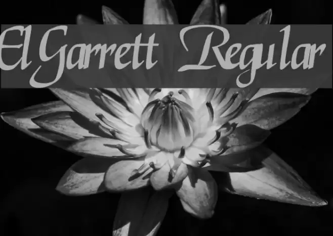 ElGarrett Regular Fuentes examples