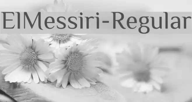 ElMessiri-Regular Font examples