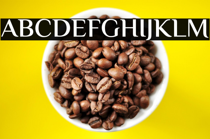 ElMessiri-SemiBold Example 2