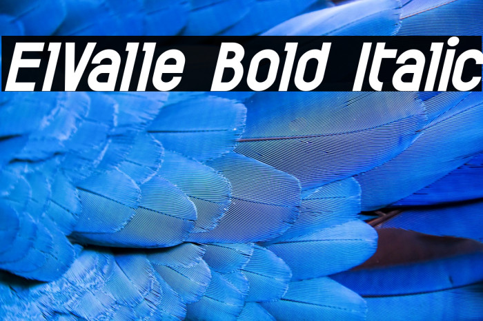 ElValle Bold Italic Example 1