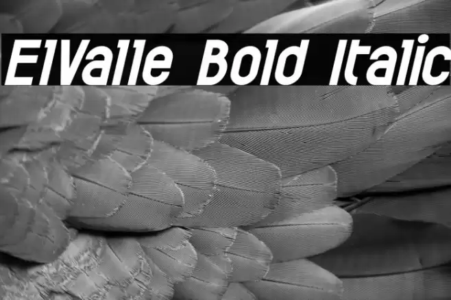 ElValle Bold Italic Font examples