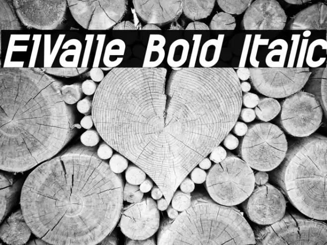 ElValle Bold Italic Font examples