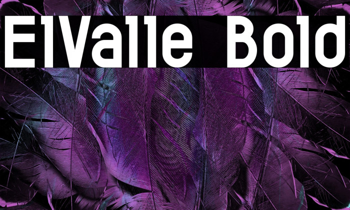 ElValle Bold Example 1