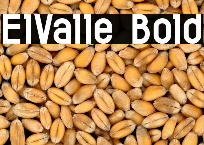 ElValle Bold Example 3