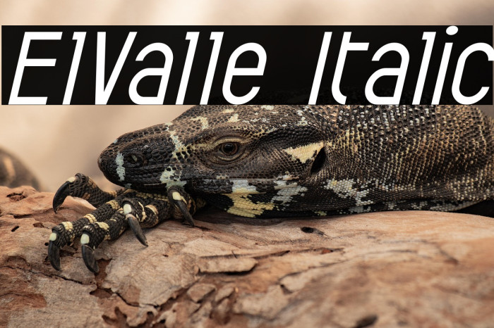 ElValle Italic Example 1