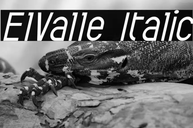 ElValle Italic Font examples