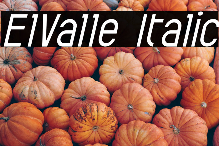 ElValle Italic Example 2