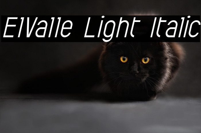 ElValle Light Italic Example 1